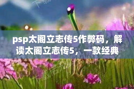 psp太阁立志传5作弊码，解读太阁立志传5，一款经典策略游戏的魅力与深度