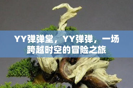 YY弹弹堂，YY弹弹，一场跨越时空的冒险之旅