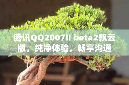 腾讯QQ2007II beta2飘云版图片