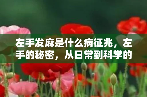 左手发麻是什么病征兆,左手的秘密,从日常到科学的奇妙之旅 左手发麻是什么病征兆,左手的秘密,从日常到科学的奇妙之旅