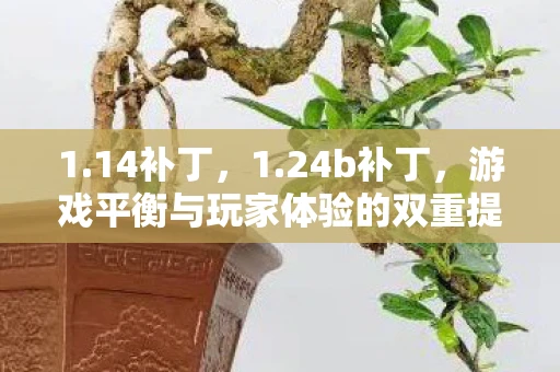 1.14补丁，1.24b补丁，游戏平衡与玩家体验的双重提升