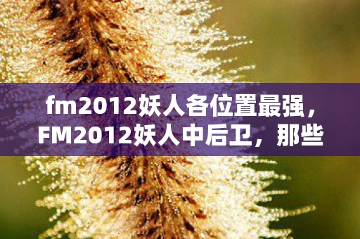 fm2012妖人各位置最强，FM2012妖人中后卫，那些被忽视的足球天才