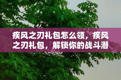 疾风之刃礼包怎么领,疾风之刃礼包,解锁你的战斗潜能 疾风之刃礼包怎么领,疾风之刃礼包,解锁你的战斗潜能