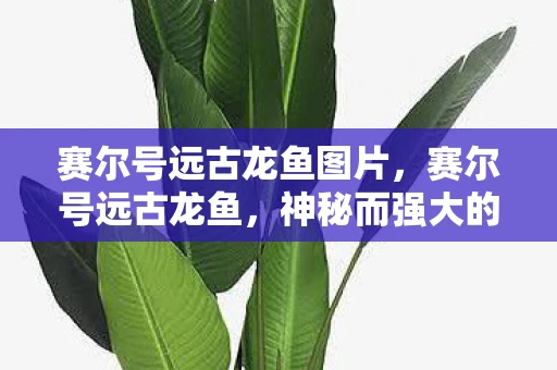 赛尔号远古龙鱼图片，赛尔号远古龙鱼，神秘而强大的存在