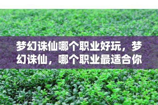 梦幻诛仙哪个职业好玩，梦幻诛仙，哪个职业最适合你？