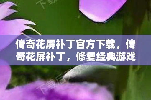 传奇花屏补丁官方下载，传奇花屏补丁，修复经典游戏的视觉瑕疵