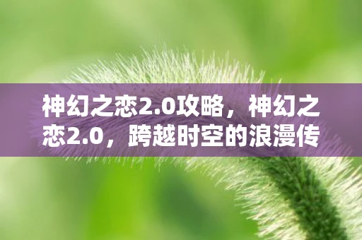 神幻之恋2.0攻略，神幻之恋2.0，跨越时空的浪漫传奇