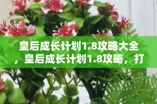 皇后成长计划1.8攻略大全，皇后成长计划1.8攻略，打造你的后宫之路