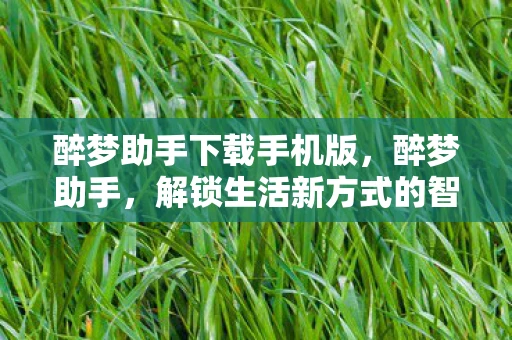 醉梦助手下载手机版，醉梦助手，解锁生活新方式的智能伙伴