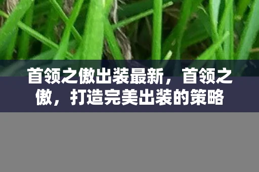 首领之傲出装最新,首领之傲,打造完美出装的策略 首领之傲出装最新,首领之傲,打造完美出装的策略