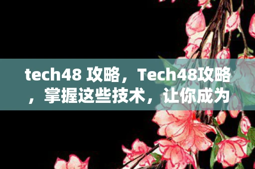 tech48 攻略，Tech48攻略，掌握这些技术，让你成为数字时代的全能高手