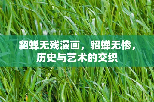 貂蝉无残漫画,貂蝉无惨,历史与艺术的交织 貂蝉无残漫画,貂蝉无惨,历史与艺术的交织