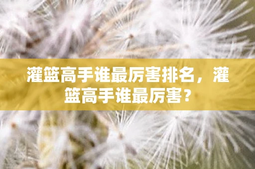 灌篮高手谁最厉害排名,灌篮高手谁最厉害? 灌篮高手谁最厉害排名,灌篮高手谁最厉害?