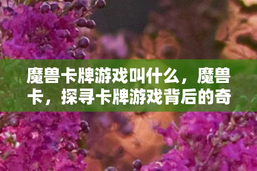 魔兽卡牌游戏叫什么，魔兽卡，探寻卡牌游戏背后的奇幻世界