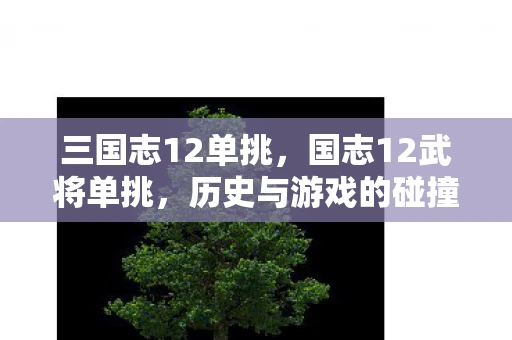三国志12单挑,国志12武将单挑,历史与游戏的碰撞 三国志12单挑,国志12武将单挑,历史与游戏的碰撞