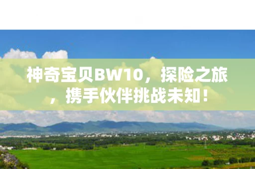 神奇宝贝BW10图片