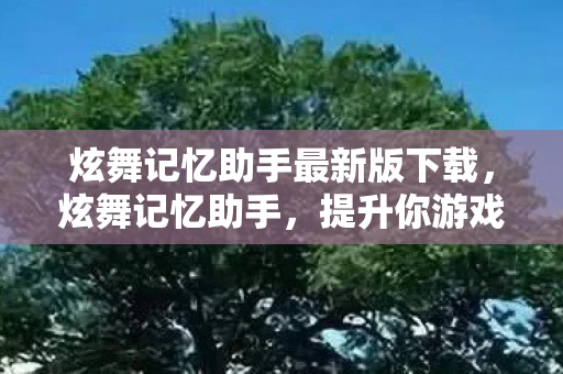 炫舞记忆助手最新版下载，炫舞记忆助手，提升你游戏技巧的必备工具