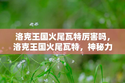 洛克王国火尾瓦特厉害吗，洛克王国火尾瓦特，神秘力量的觉醒