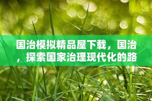 国治模拟精品屋下载，国治，探索国家治理现代化的路径