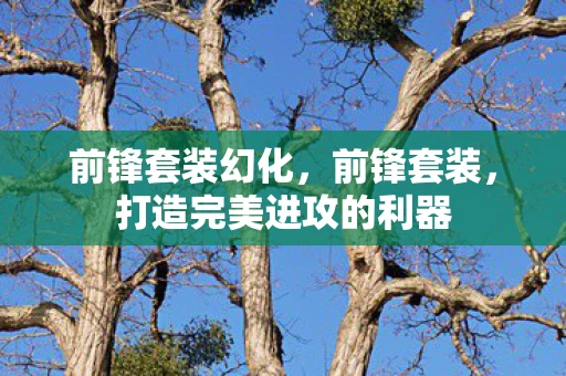 前锋套装幻化，前锋套装，打造完美进攻的利器