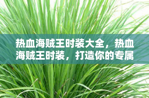 热血海贼王时装大全，热血海贼王时装，打造你的专属海贼王角色