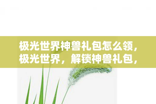 极光世界神兽礼包怎么领，极光世界，解锁神兽礼包，探索神秘世界的奇幻之旅