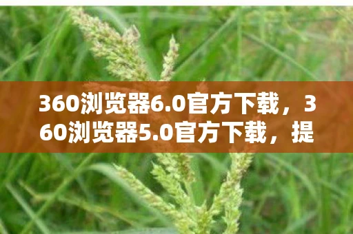 360浏览器6.0官方下载，360浏览器5.0官方下载，提升你的上网体验