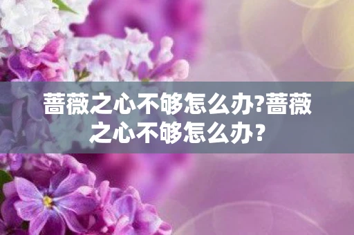 蔷薇之心不够怎么办?蔷薇之心不够怎么办？