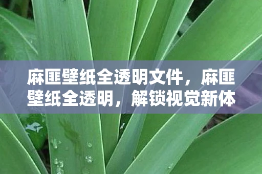 麻匪壁纸全透明文件，麻匪壁纸全透明，解锁视觉新体验