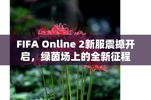 FIFA Online 2新服震撼开启图片