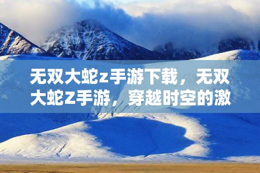 无双大蛇z手游下载，无双大蛇Z手游，穿越时空的激战