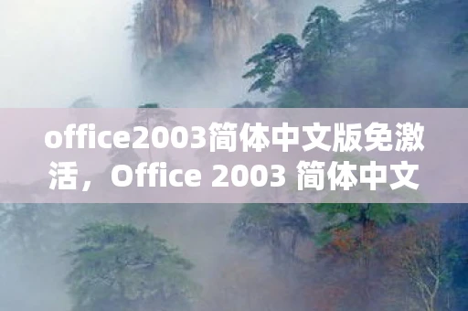 office2003简体中文版免激活，Office 2003 简体中文完整版，经典之作的永恒魅力