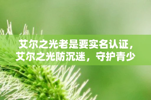 艾尔之光老是要实名认证，艾尔之光防沉迷，守护青少年健康成长的数字防线