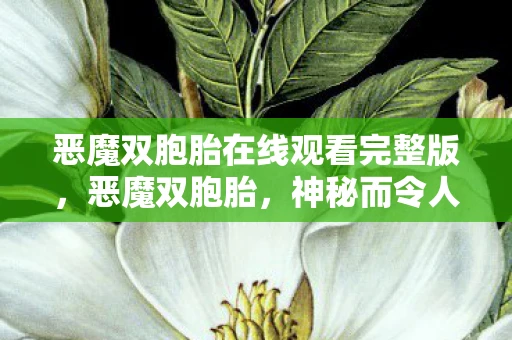 恶魔双胞胎在线观看完整版,恶魔双胞胎,神秘而令人恐惧的存在 恶魔双胞胎在线观看完整版,恶魔双胞胎,神秘而令人恐惧的存在