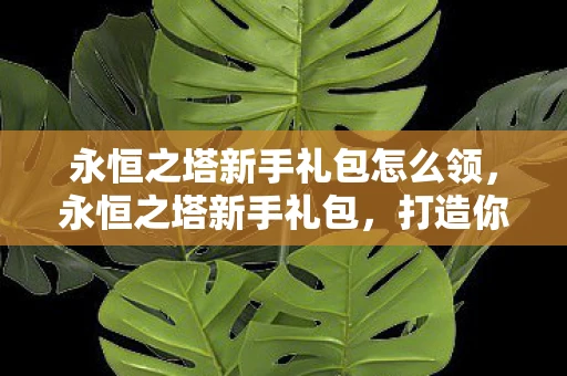 永恒之塔新手礼包怎么领，永恒之塔新手礼包，打造你的游戏之旅