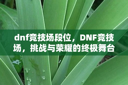 dnf竞技场段位，DNF竞技场，挑战与荣耀的终极舞台