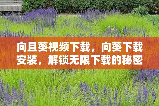 向且葵视频下载，向葵下载安装，解锁无限下载的秘密