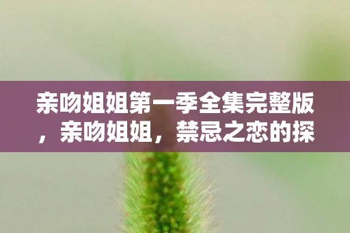 亲吻姐姐第一季全集完整版,亲吻姐姐,禁忌之恋的探讨 亲吻姐姐第一季全集完整版,亲吻姐姐,禁忌之恋的探讨