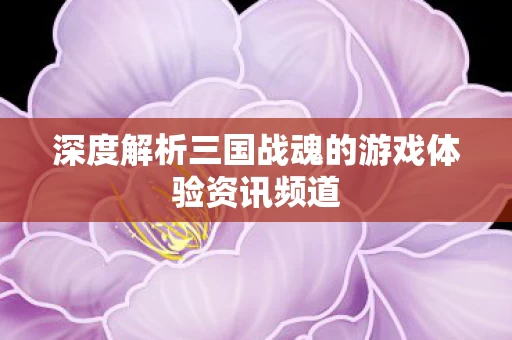 深度解析三国战魂的游戏体验资讯频道图片