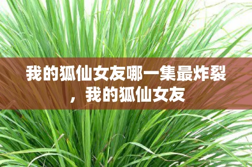 我的狐仙女友哪一集最炸裂,我的狐仙女友 我的狐仙女友哪一集最炸裂,我的狐仙女友