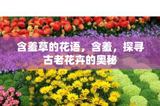 含羞草的花语，含羞，探寻古老花卉的奥秘