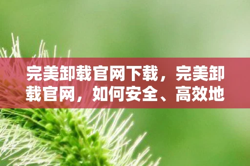 完美卸载官网下载，完美卸载官网，如何安全、高效地卸载软件