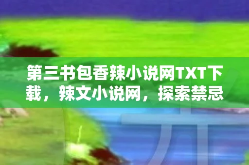 第三书包香辣小说网TXT下载,辣文小说网,探索禁忌与自由的文学世界 第三书包香辣小说网TXT下载,辣文小说网,探索禁忌与自由的文学世界