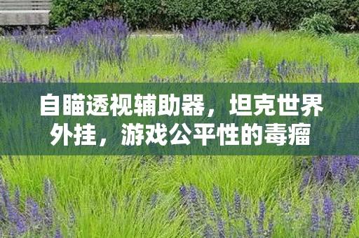 自瞄透视辅助器，坦克世界外挂，游戏公平性的毒瘤