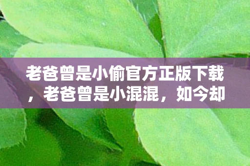 老爸曾是小偷官方正版下载，老爸曾是小混混，如今却成了我的骄傲