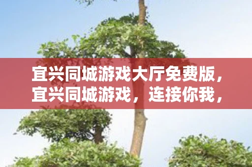 宜兴同城游戏大厅免费版,宜兴同城游戏,连接你我,共享欢乐 宜兴同城游戏大厅免费版,宜兴同城游戏,连接你我,共享欢乐
