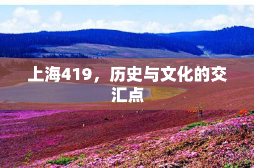 上海419，历史与文化的交汇点