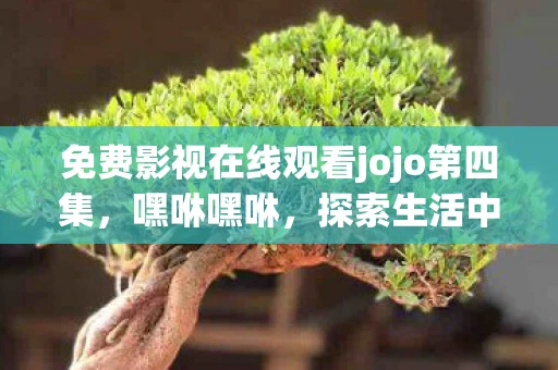 免费影视在线观看jojo第四集，嘿咻嘿咻，探索生活中的小确幸