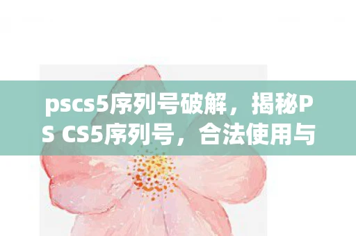 pscs5序列号破解,揭秘PS CS5序列号,合法使用与版权保护的重要性 pscs5序列号破解,揭秘PS CS5序列号,合法使用与版权保护的重要性