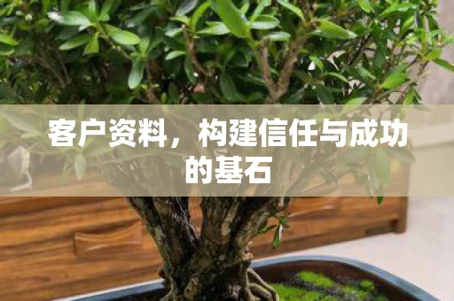 客户资料,构建信任与成功的基石 客户资料,构建信任与成功的基石